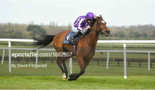 Horse Racing from Naas