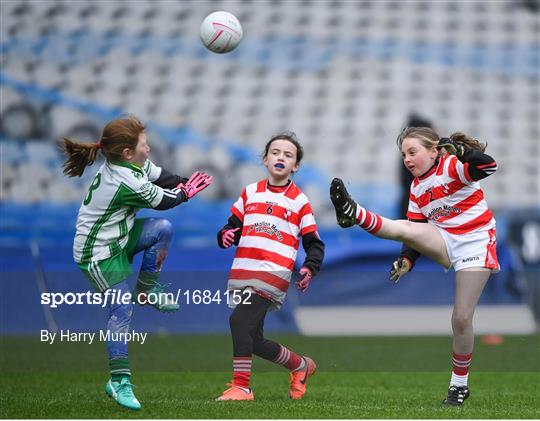 LGFA U10 Go Games Activity Day