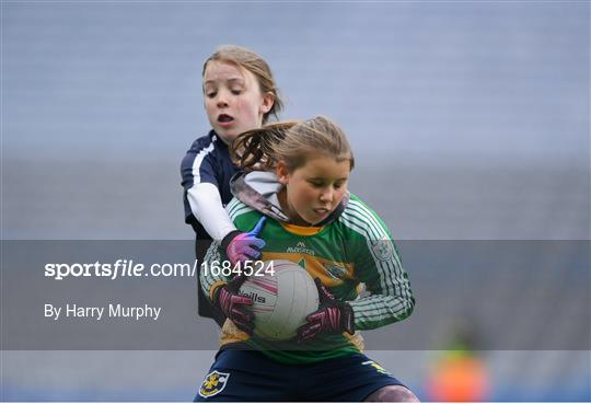 LGFA U10 Go Games Activity Day