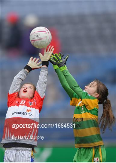 LGFA U10 Go Games Activity Day LGFA U10 Go Games Activity Day