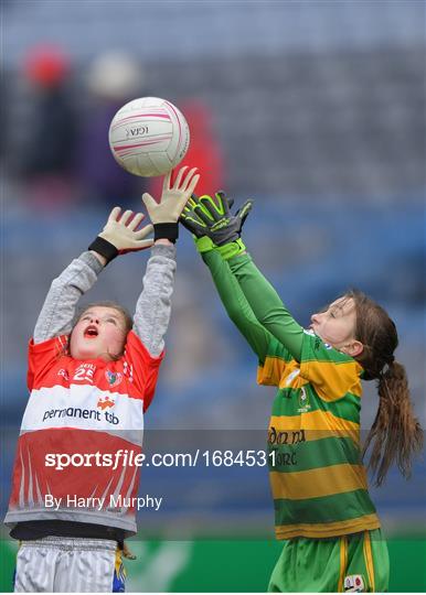 LGFA U10 Go Games Activity Day