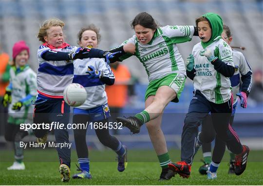 LGFA U10 Go Games Activity Day