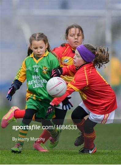 LGFA U10 Go Games Activity Day