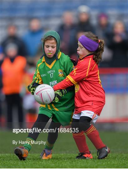 LGFA U10 Go Games Activity Day LGFA U10 Go Games Activity Day