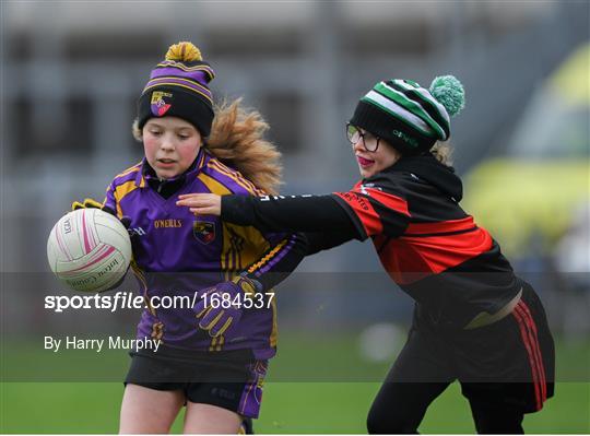 LGFA U10 Go Games Activity Day