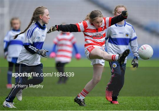 LGFA U10 Go Games Activity Day