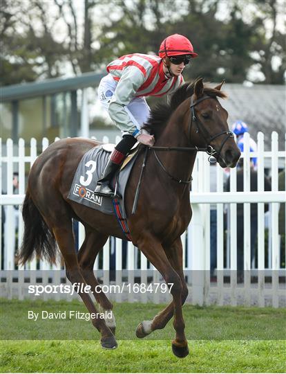 Horse Racing from Naas