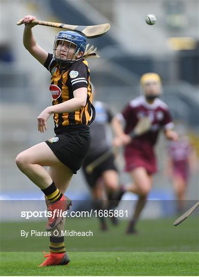 Kilkenny v Galway - Littlewoods Ireland Camogie League Division 1 Final