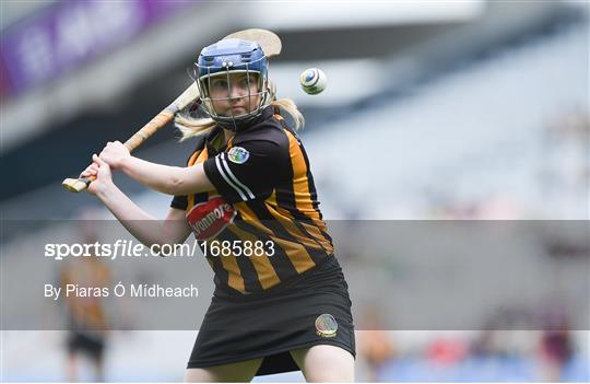 Kilkenny v Galway - Littlewoods Ireland Camogie League Division 1 Final