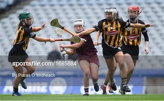 Kilkenny v Galway - Littlewoods Ireland Camogie League Division 1 Final