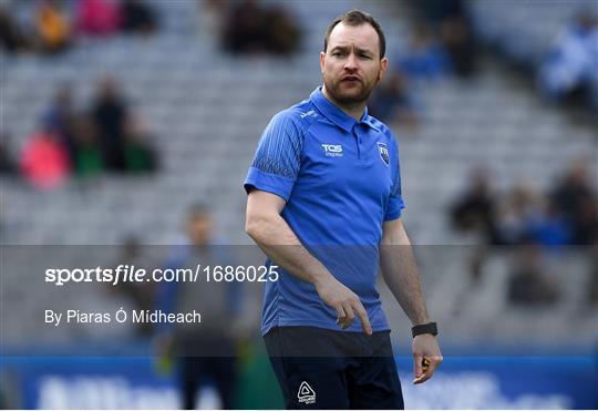 Limerick v Waterford - Allianz Hurling League Division 1 Final