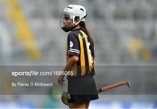 Kilkenny v Galway - Littlewoods Ireland Camogie League Division 1 Final