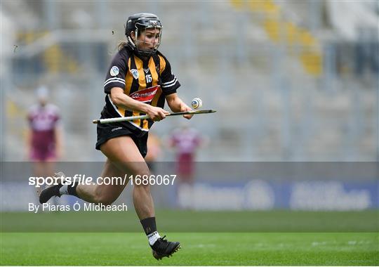 Kilkenny v Galway - Littlewoods Ireland Camogie League Division 1 Final