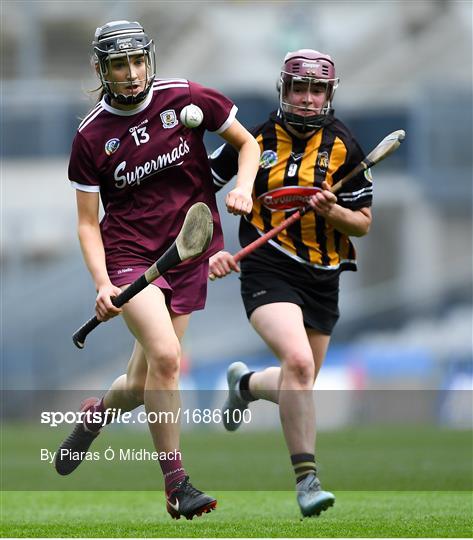 Kilkenny v Galway - Littlewoods Ireland Camogie League Division 1 Final