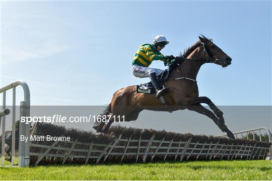 Fairyhouse Horse Racing - Gold Cup Day 1