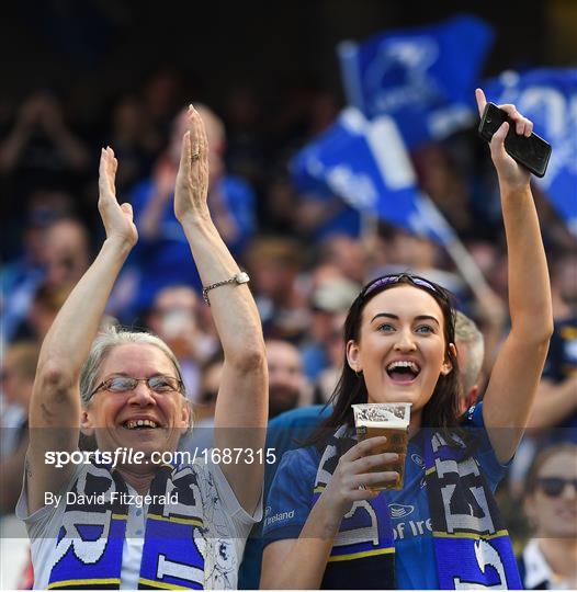 Supporters at Leinster v Toulouse - Heineken Champions Cup Semi-Final