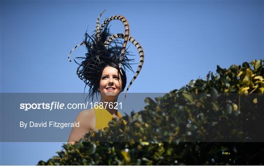 Fairyhouse Easter Festival - Irish Grand National
