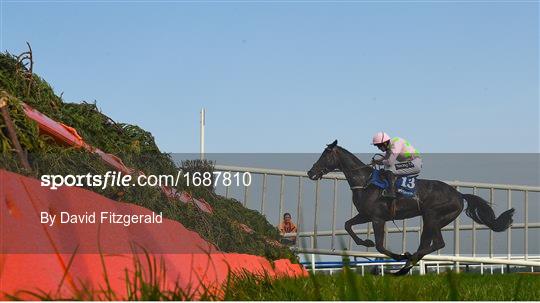 Fairyhouse Easter Festival - Irish Grand National