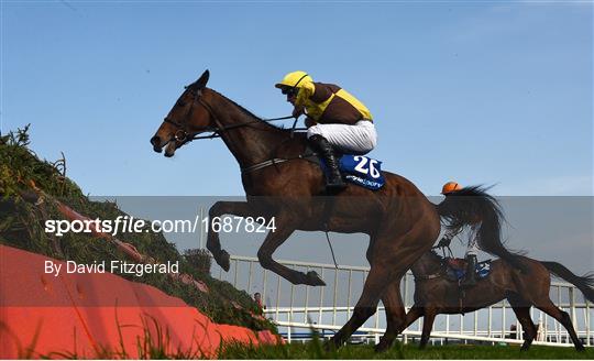 Fairyhouse Easter Festival - Irish Grand National