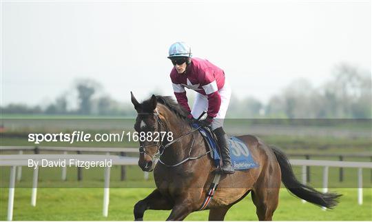 Fairyhouse Easter Festival - Irish Grand National