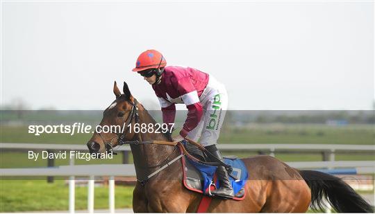 Fairyhouse Easter Festival - Irish Grand National