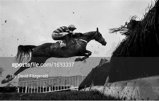 Punchestown Festival - Champion Chase Day