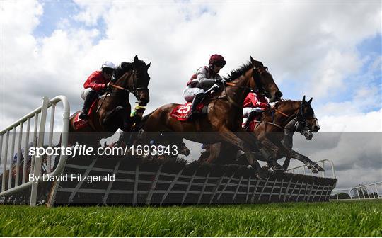 Punchestown Festival - Gold Cup Day