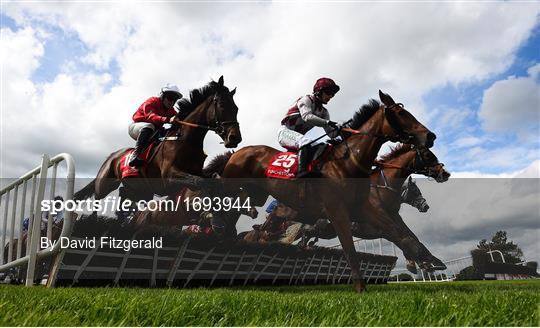 Punchestown Festival - Gold Cup Day