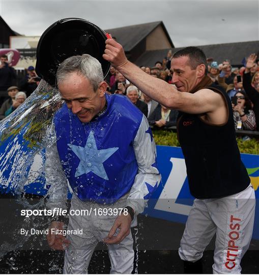 Punchestown Festival - Gold Cup Day