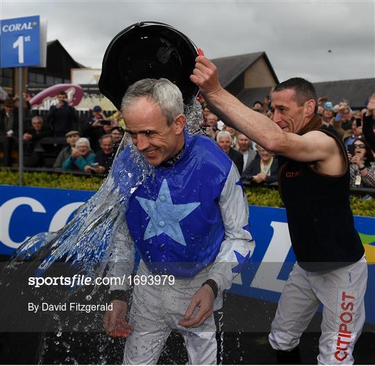 Punchestown Festival - Gold Cup Day