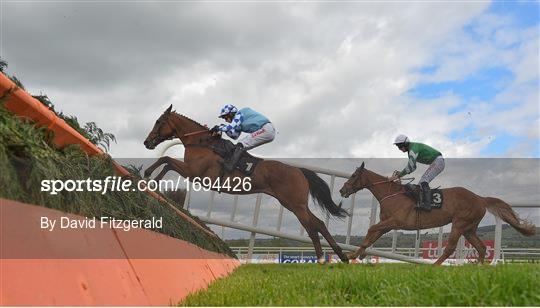 Punchestown Festival - Champion Stayers Hurdle Day