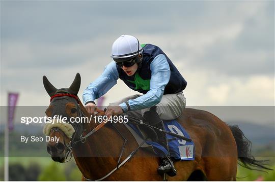 Punchestown Festival - Champion Hurdle Day