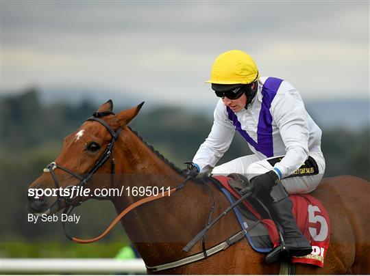 Punchestown Festival - Champion Hurdle Day