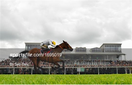 Punchestown Festival - Champion Hurdle Day Punchestown Festival - Champion Hurdle Day