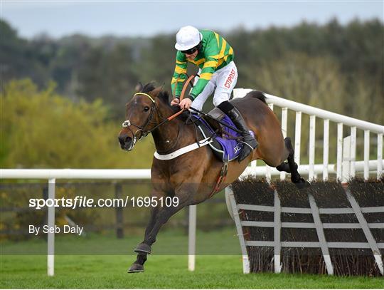 Punchestown Festival - Champion Hurdle Day