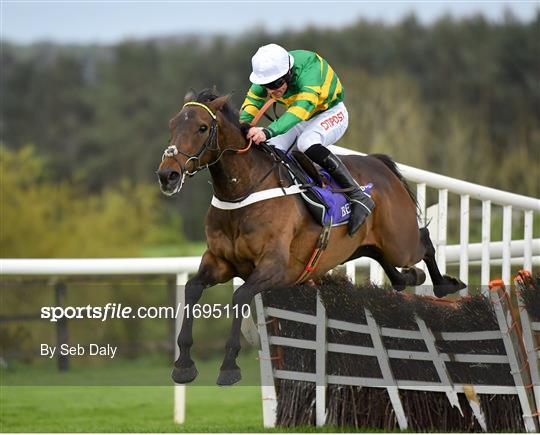 Punchestown Festival - Champion Hurdle Day