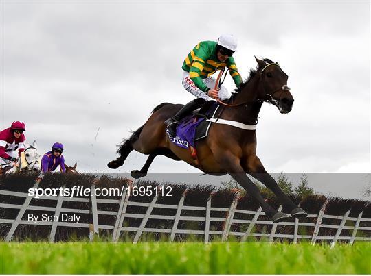 Punchestown Festival - Champion Hurdle Day