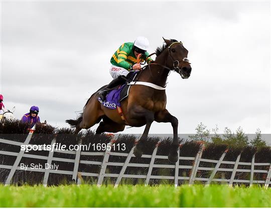 Punchestown Festival - Champion Hurdle Day