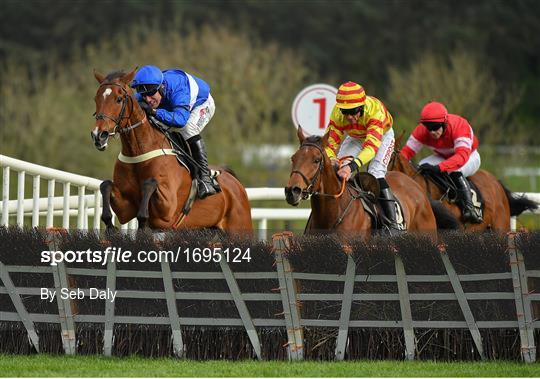 Punchestown Festival - Champion Hurdle Day