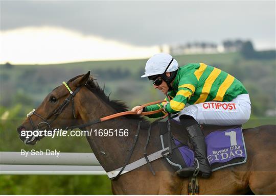 Punchestown Festival - Champion Hurdle Day