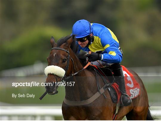 Punchestown Festival - Champion Hurdle Day Punchestown Festival - Champion Hurdle Day