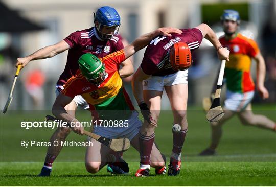 Galway v Carlow - Leinster GAA Hurling Senior Championship Round 1