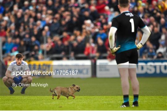 Cavan v Monaghan - Ulster GAA Football Senior Championship quarter-final