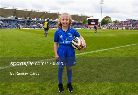 Mascots at Leinster v Munster - Guinness PRO14 Semi-Final