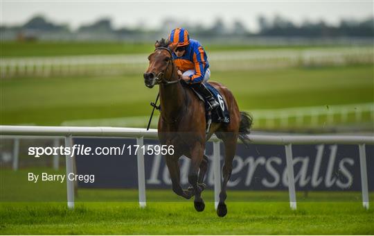 Horse Racing from the Curragh