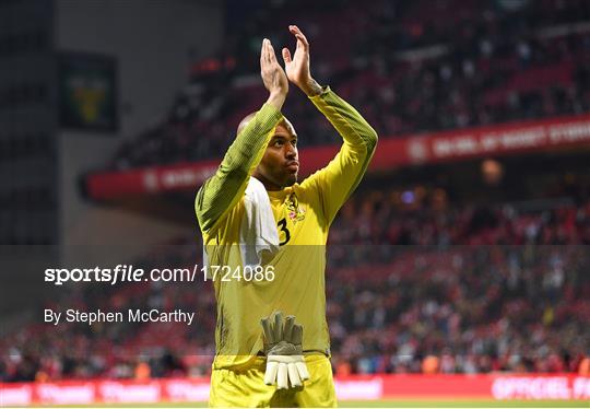 Denmark v Republic of Ireland - UEFA EURO2020 Qualifier Denmark v Republic of Ireland - UEFA EURO2020 Qualifier