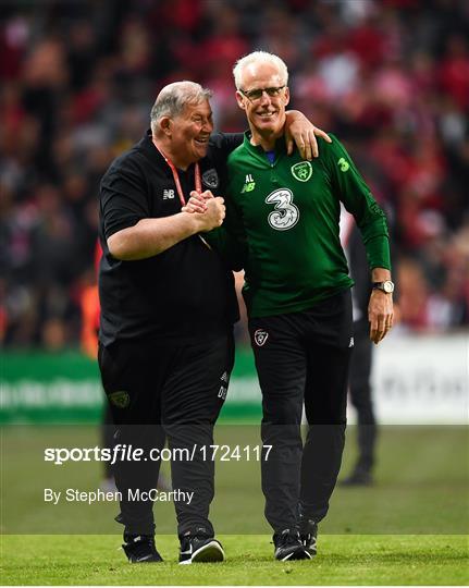 Denmark v Republic of Ireland - UEFA EURO2020 Qualifier Denmark v Republic of Ireland - UEFA EURO2020 Qualifier