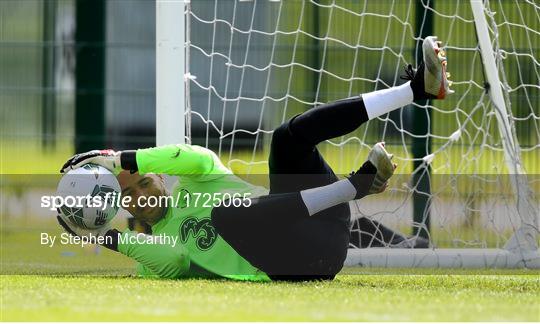 Republic of Ireland Training Session & Press Conference Republic of Ireland Training Session & Press Conference