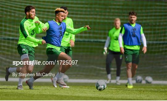 Republic of Ireland Training Session & Press Conference Republic of Ireland Training Session & Press Conference