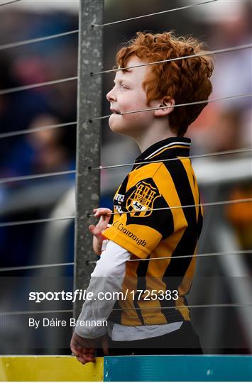 Kilkenny v Galway - Leinster GAA Hurling Senior Championship Round 4